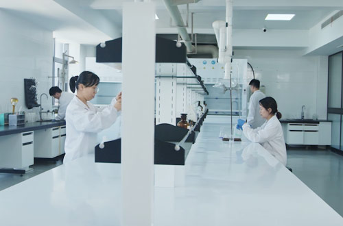 公司擁有先進(jìn)齊全的檢測儀器和現(xiàn)代化的生產(chǎn)設(shè)施